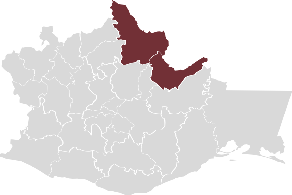 Ubicación de La Chinantla en Oaxaca